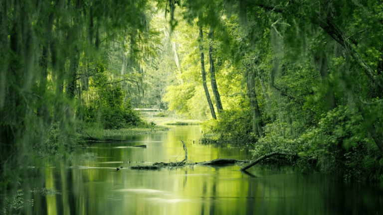 7 Tips To Elevate Your Nature Photography Adventure